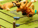 DSC06485.jpg