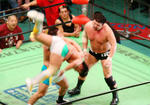 DSC06503.jpg