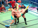 DSC06504.jpg