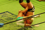DSC06515.jpg