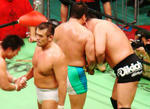 DSC06541.jpg