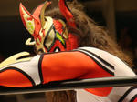 DSC09547.jpg