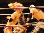 DSC00861.jpg