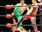 DSC01740.jpg