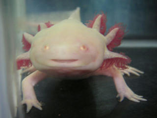 にんまり