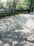 CA3I0201.jpg
