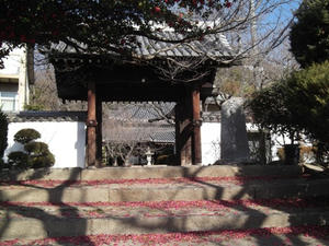 11nisimachi20110110.JPG