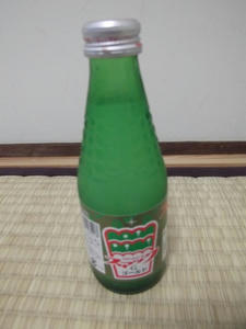 snac20110110.JPG