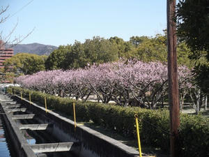 201103051.jpg