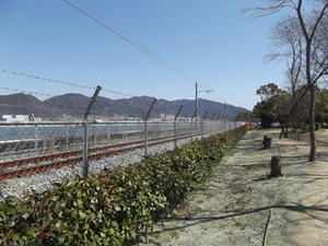 201103054.jpg