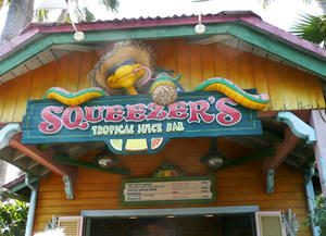 squeezers