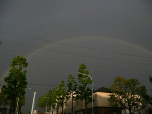rainbow02