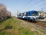 Z4064483.jpg