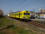 Z4064498.jpg