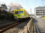 Z4064530.jpg