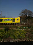 c85b8d54.jpg
