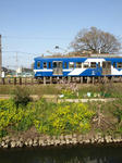 Z4064555.jpg