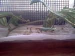 7b84ee22.jpg