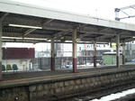 P1000071.JPG