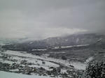 P1000074.JPG