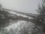 P1000087.JPG