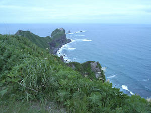 R0011260.jpg