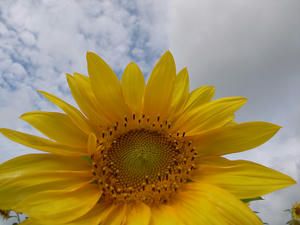 R0011478.jpg