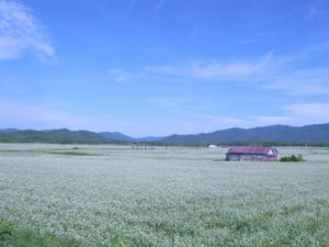 R0011575.jpg