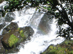 R0011608.jpg