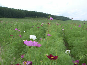 R0011630.jpg