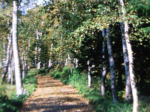 R0011761.jpg