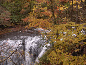 R0011798.jpg