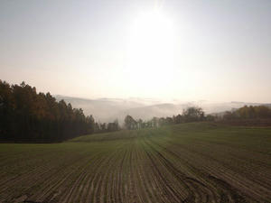 R0011808.jpg