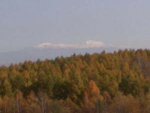 R0011813.jpg