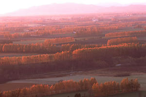 memuro01.jpg