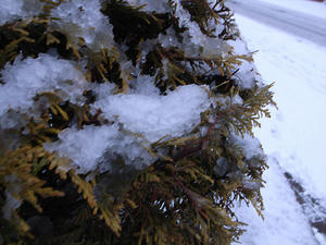 R0011913.jpg
