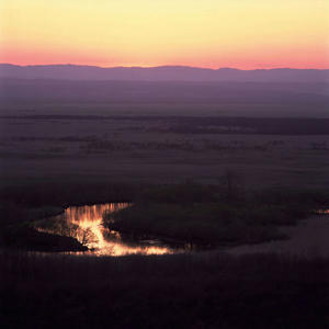 F-000000080009416.jpg