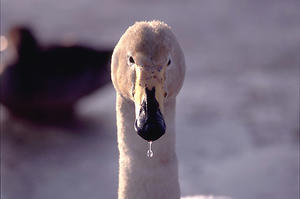 F-000000LBS064011527.jpg