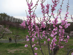 R0012641.jpg