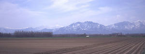 F-000000NET068011165.jpg