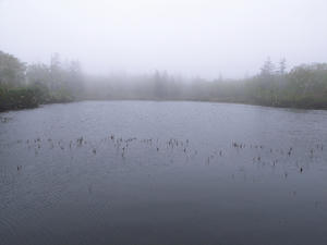 R0012743.jpg