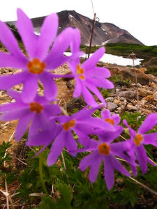 R0012860.jpg