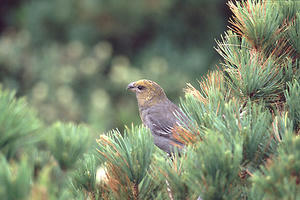 F-000000LBB064011610.jpg