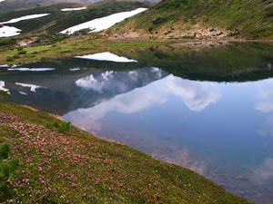 R0012919.jpg