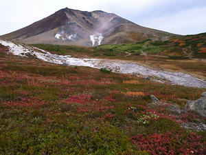080924-01.jpg