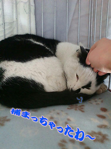 20100126120444.jpg