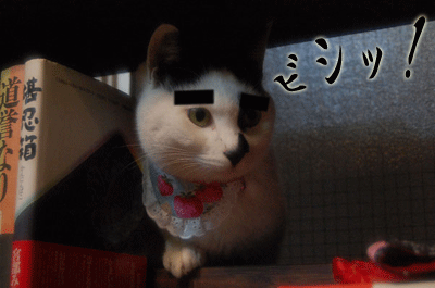 3.gif