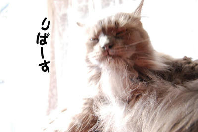 d340145d.jpeg