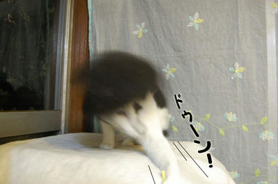 715a9c50.jpeg