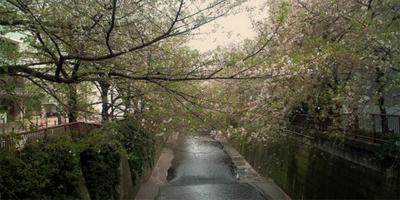 20100413153359.jpg